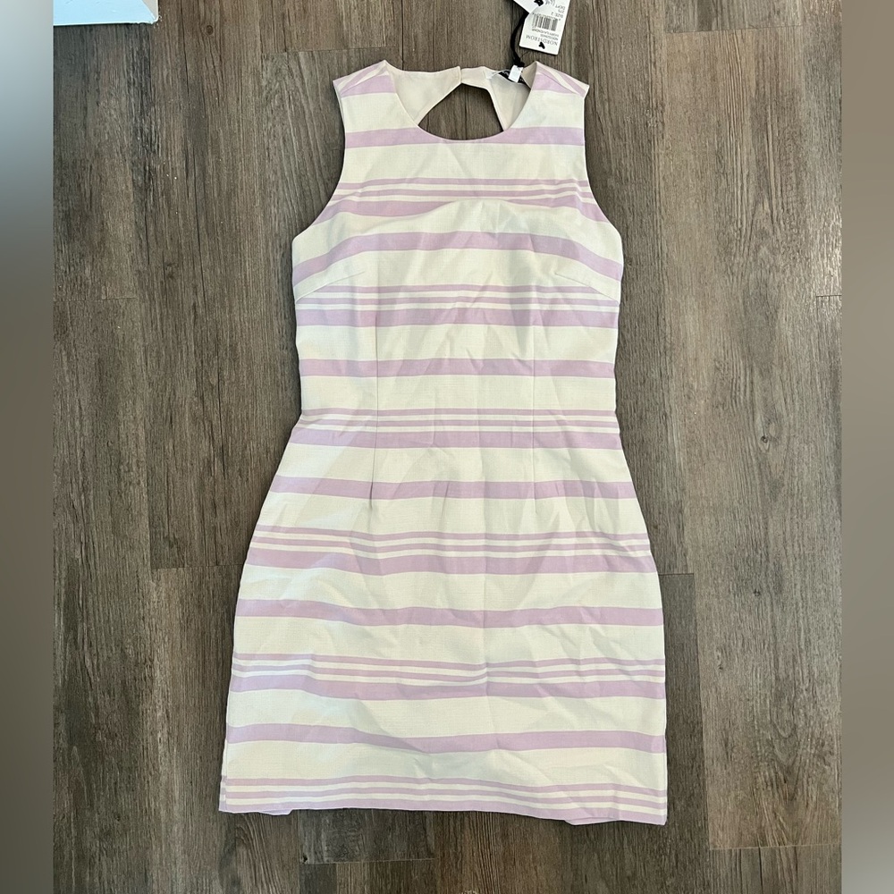 Cupcakes and Cashmere Dress Size 2 NWT